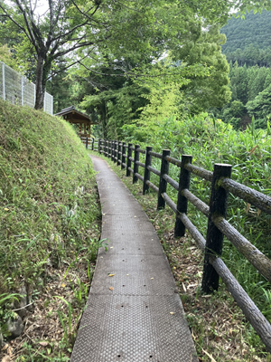 蔦の渕展望台への通路