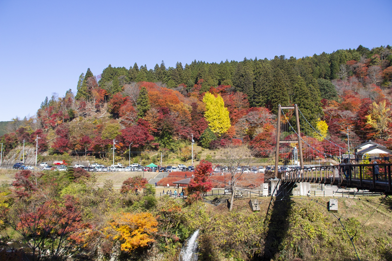 紅葉の大井平公園