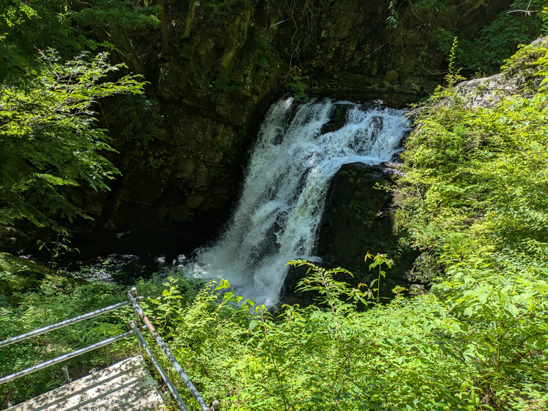 つたの滝