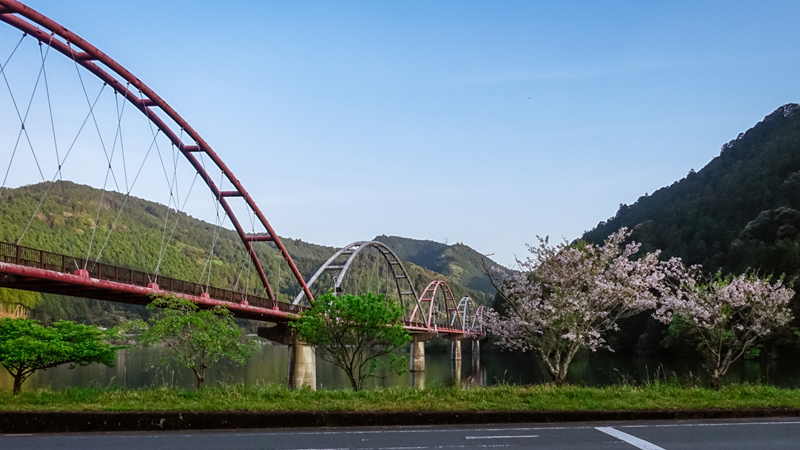 春の夢のかけ橋