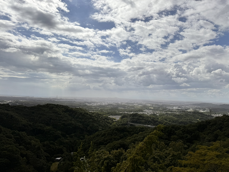 岩巣山展望台より