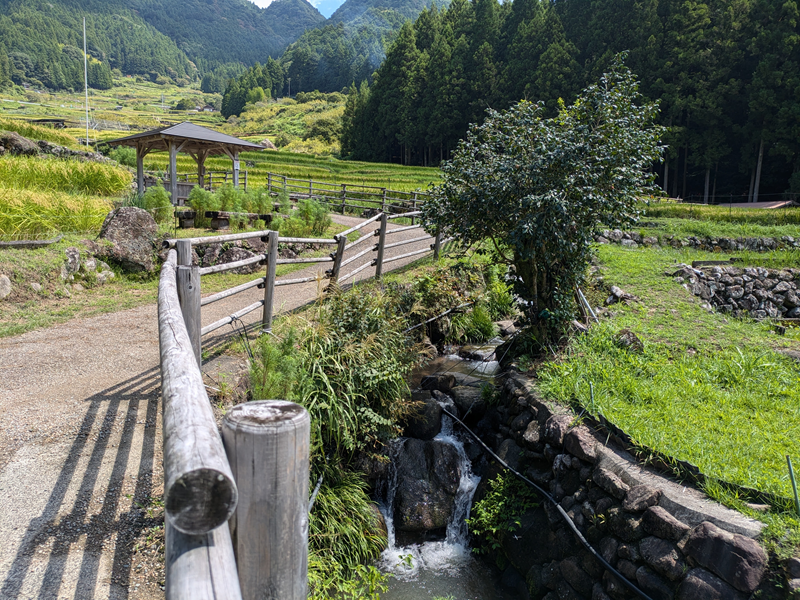 四谷の千枚田の遊歩道