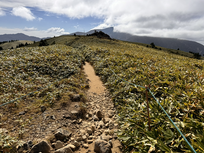 左右ササユリがある山頂までの道