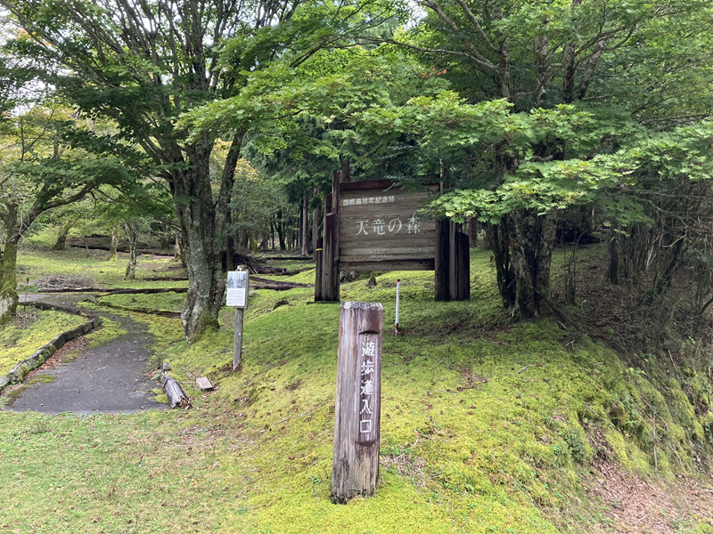 天竜の森