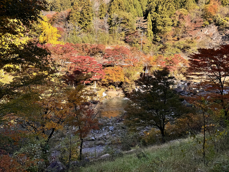 名倉川沿い。