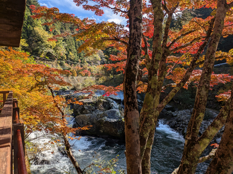 大井平公園の井の淵紅葉