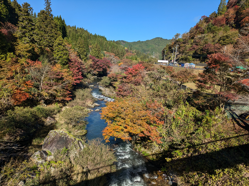 風のつり橋から名倉川を見る