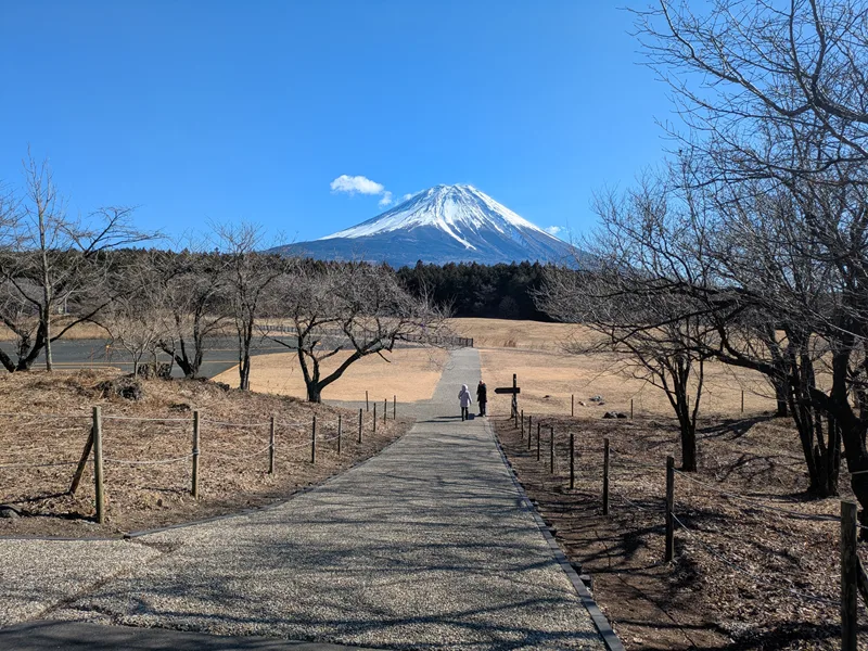 朝霧高原の富士山展望台から富士山を見る