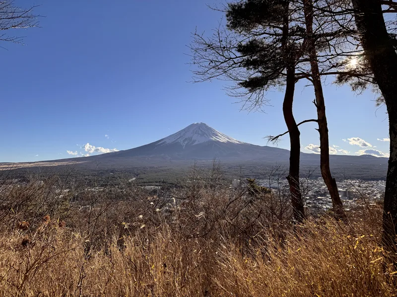 河口湖ナカバ平展望広場から見た富士山