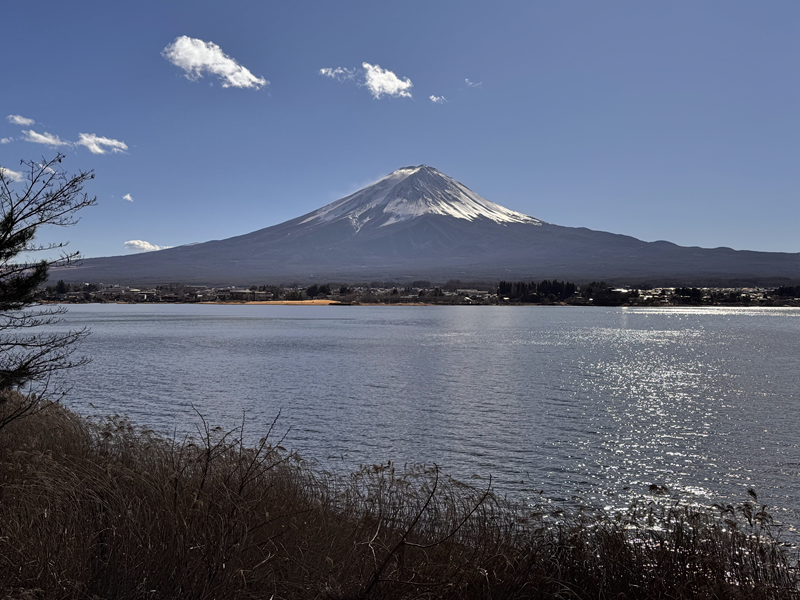 河口湖の長崎公園から見る富士山。