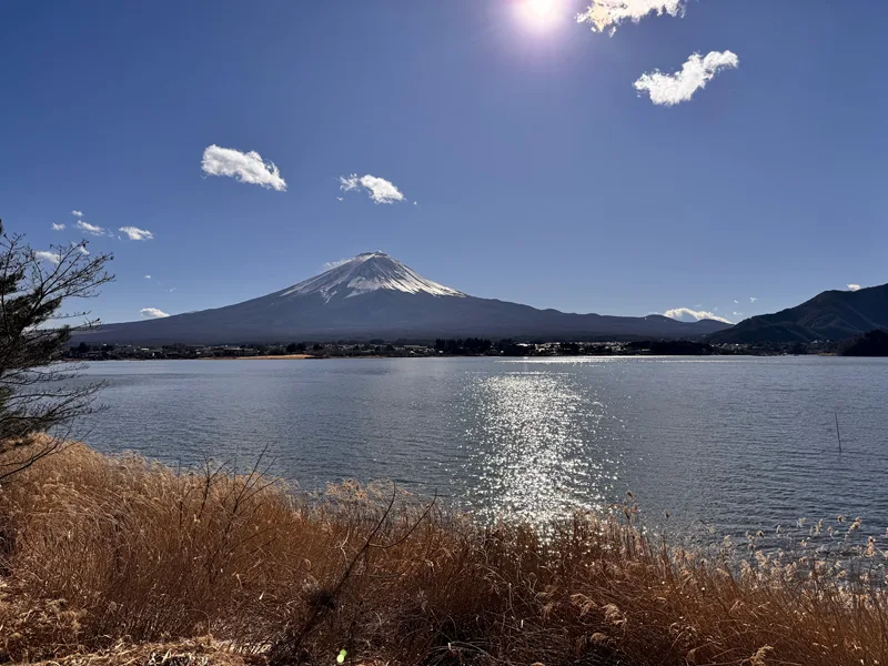 河口湖の長崎公園から富士山を見る