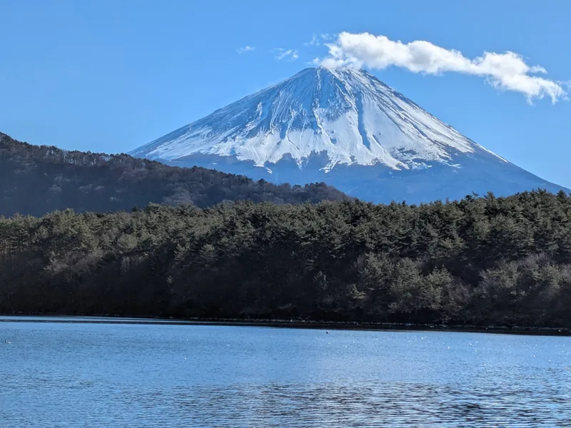 富士五湖の西湖から富士山を見る