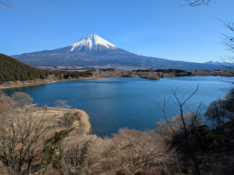 田貫湖展望台から富士山を見る。