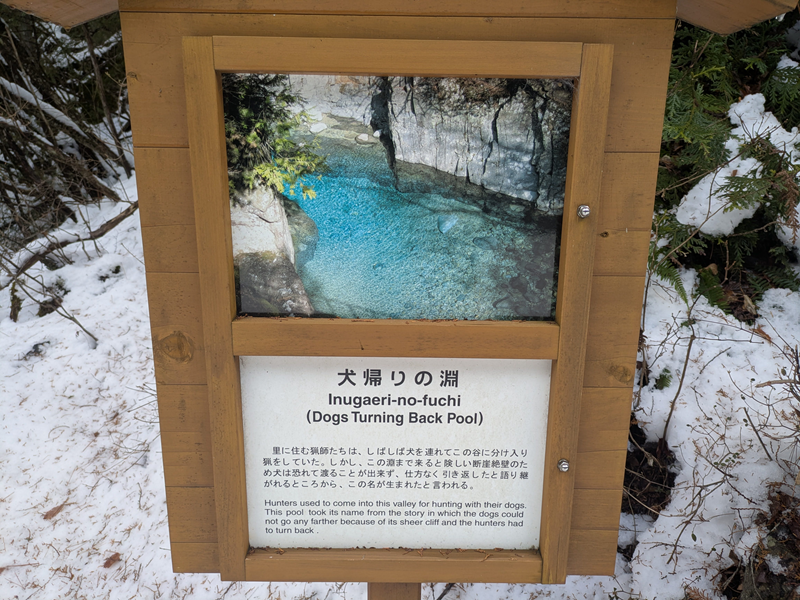 阿寺渓谷、犬帰りの渕の看板。雪もようでした