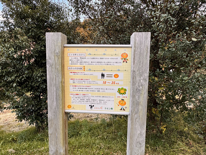 みかんの里農村公園にあるみかんのことが学べる看板