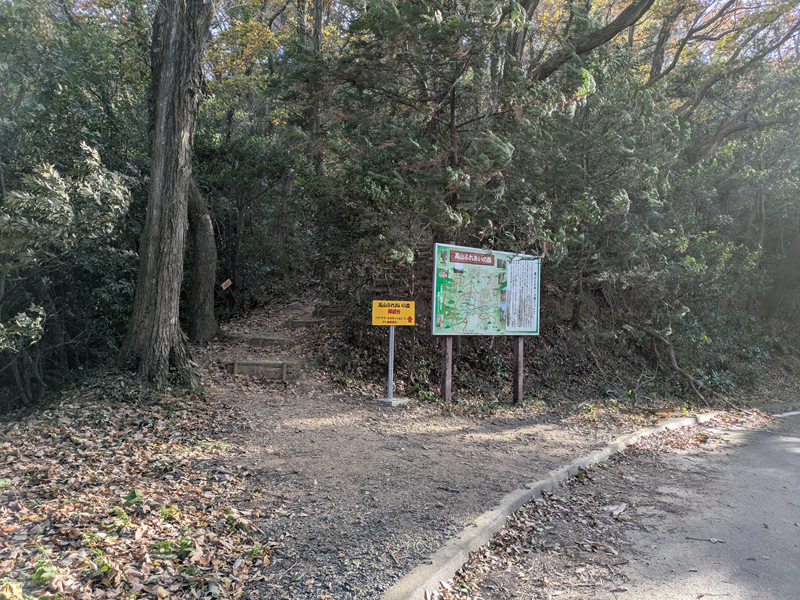 高山ふれあいの森展望台へいく道。