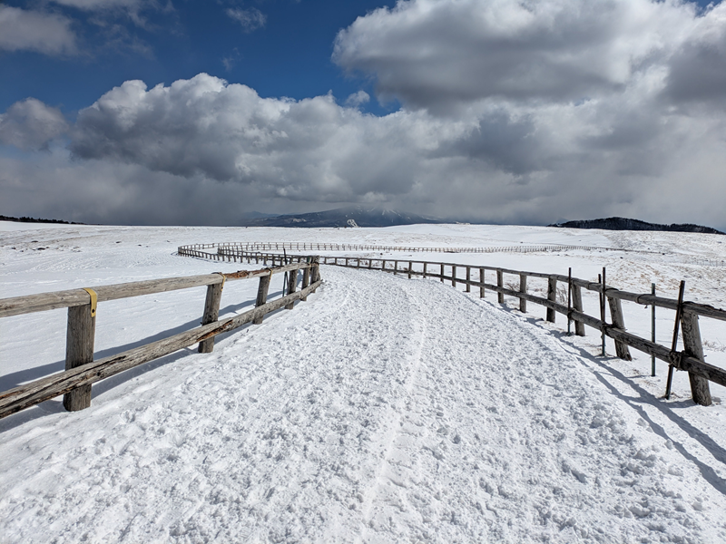 美ヶ原高原。雪の中を歩いてきました。