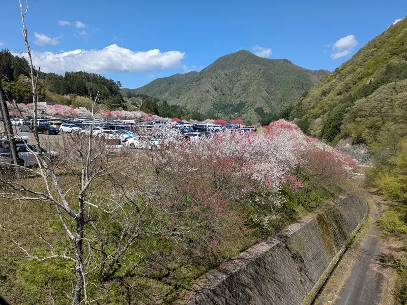 阿智村花桃の里お店のある所