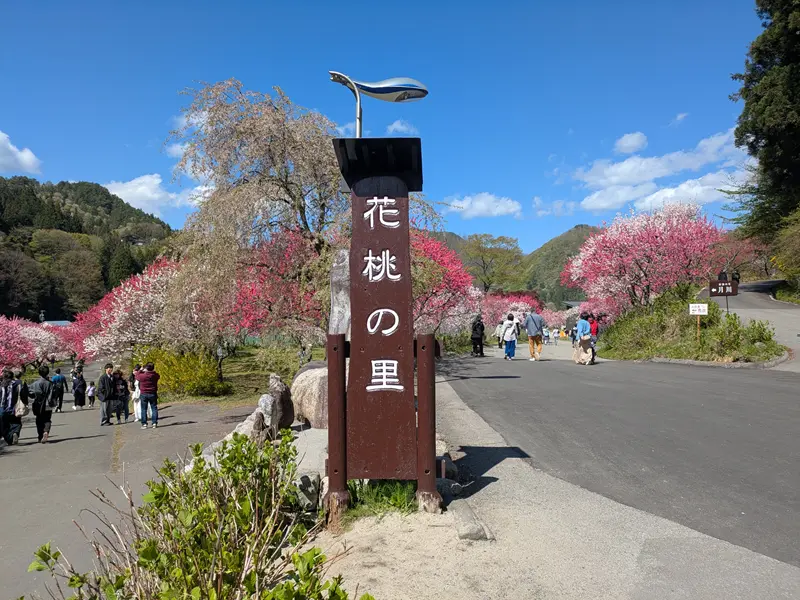 阿智村花桃の里