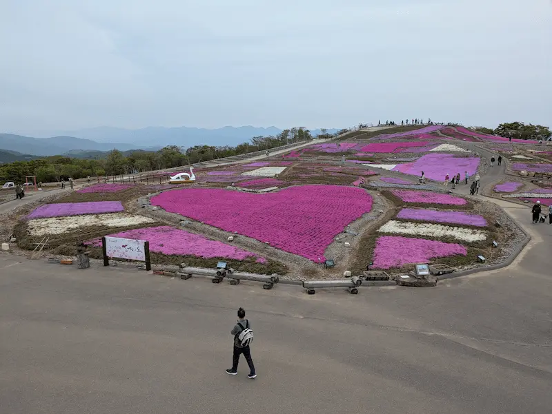 茶臼山高原 天空の花回廊を見る
