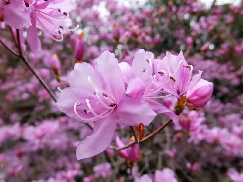 馬見塚公園