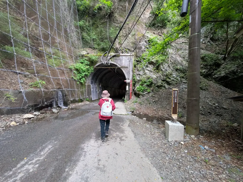 天子(てんし)トンネルが見えてきた。