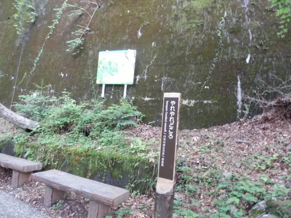吊り橋の先は急な登り坂