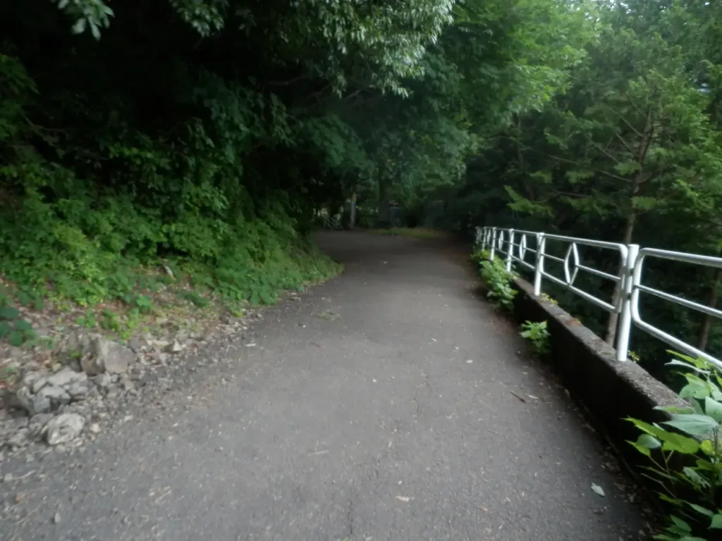 奥大井湖上駅展望所