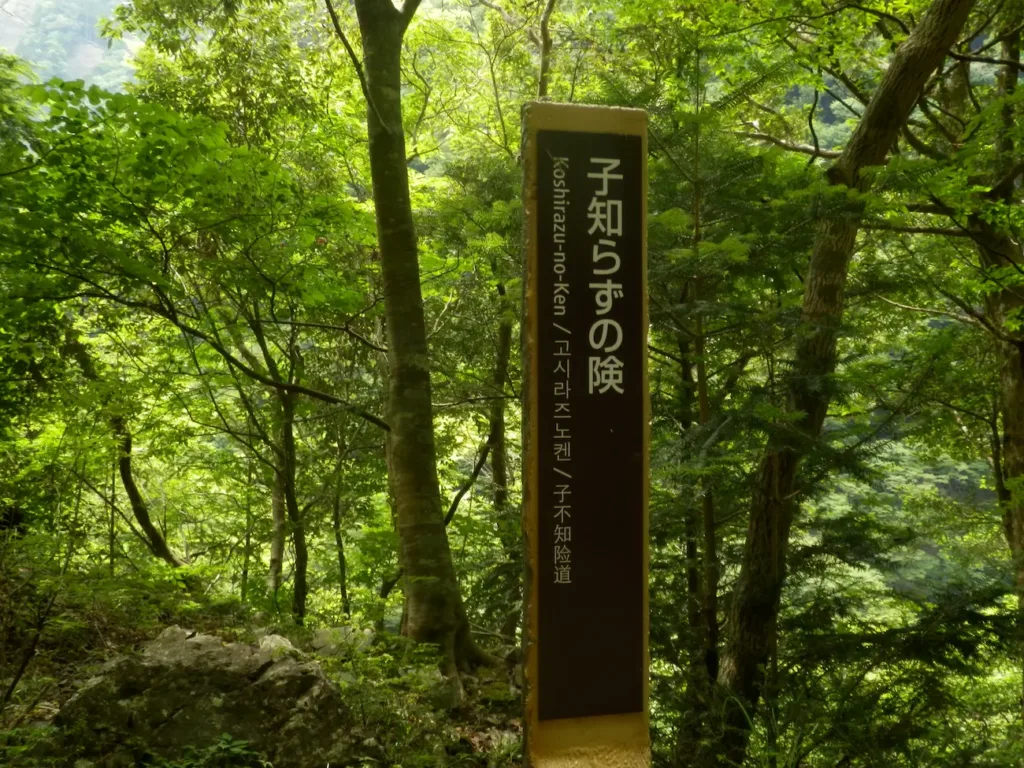 子知らずの険