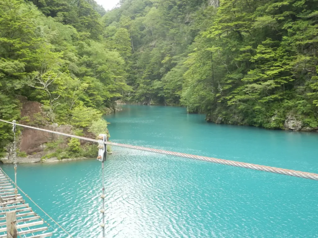 夢のつり橋から見た大間川